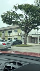 Ang Mo Kio Avenue 8 (D20), Shop House #634538951